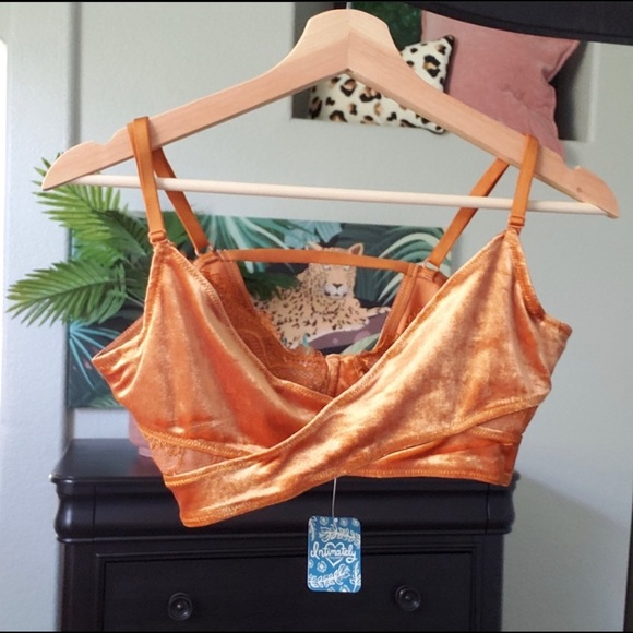 Free People Aurora Lace Velvet Underwire Bralette - Picture 3 of 4
